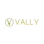 Logo de Vally